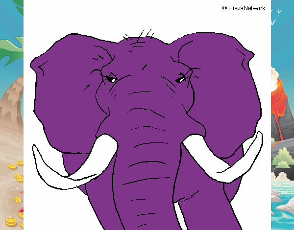 Elefante africano