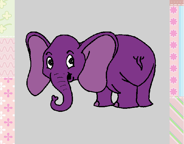 Elefante pequeño