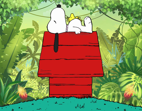 Snoopy durmiendo