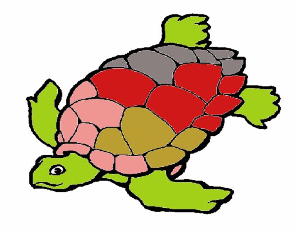 Tortuga