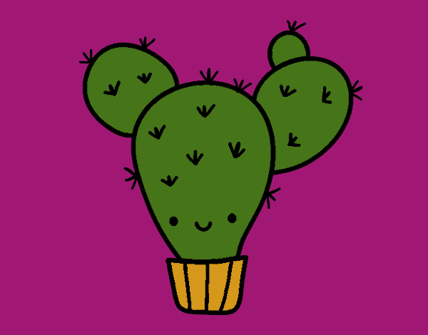 Cactus nopal