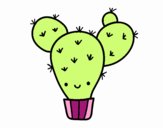 Cactus nopal