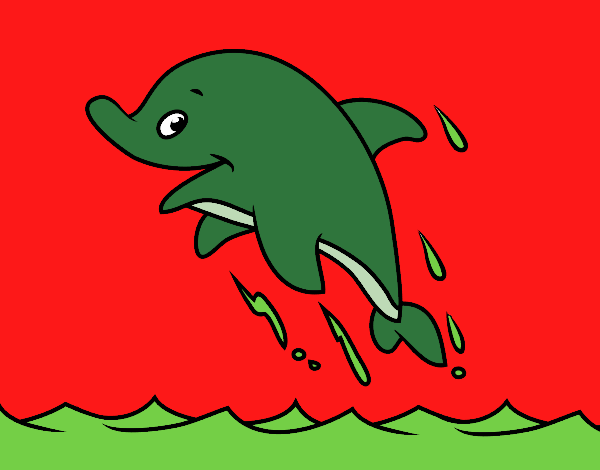 Delfin Verde