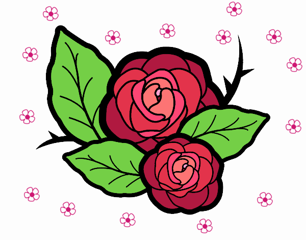 Dos rosas