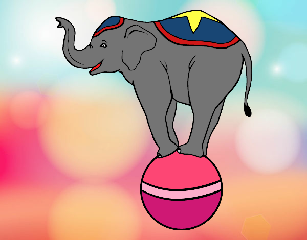 Elefante equilibrista