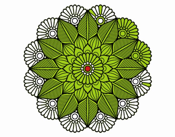 Mandala jardín vegetal