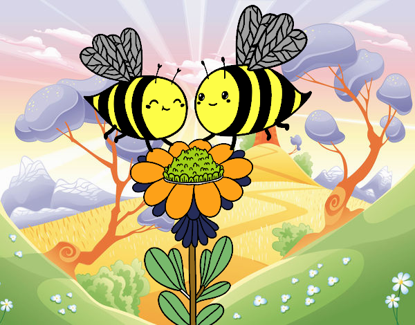 Pareja de abejas