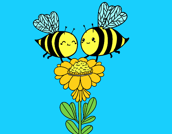 Pareja de abejas