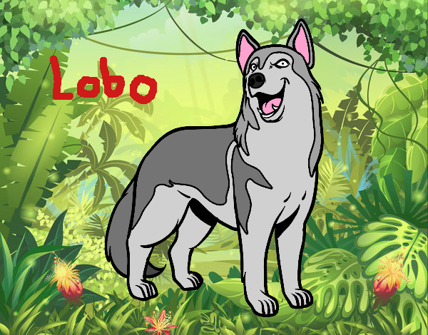 Perro lobo