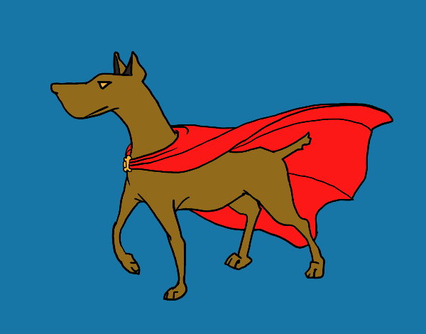 Perro superhéroe