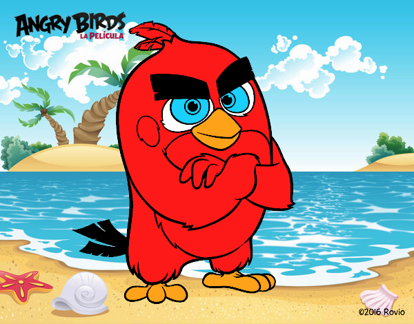 Red de Angry Birds