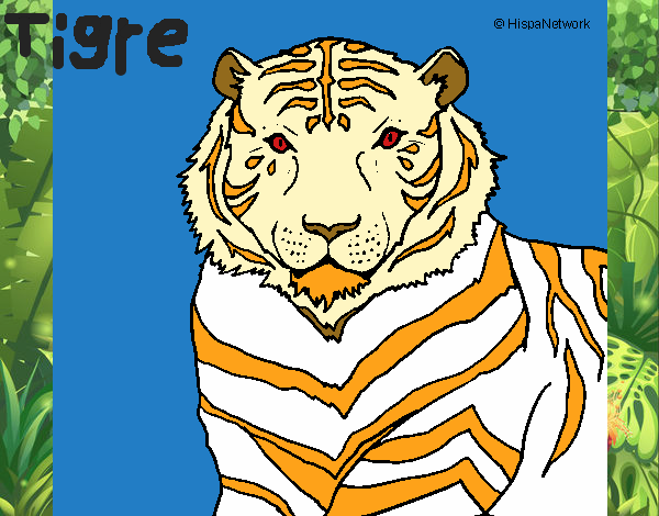 Tigre 3