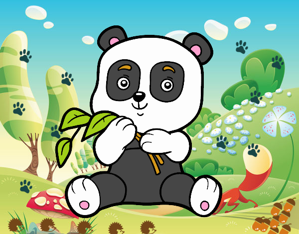 Un oso panda