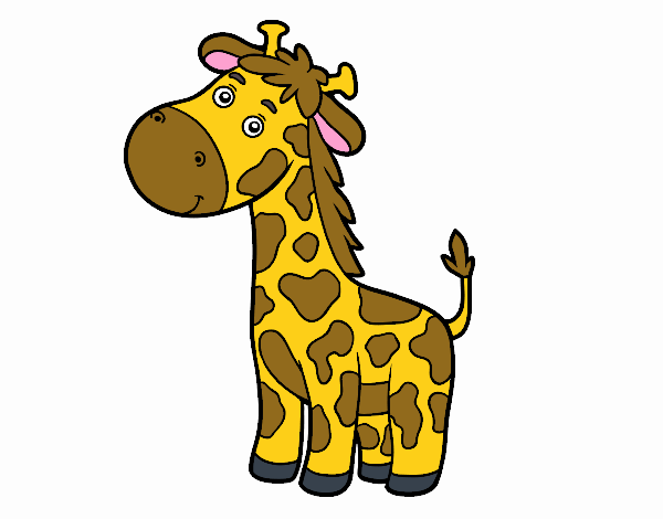 GIRAFA