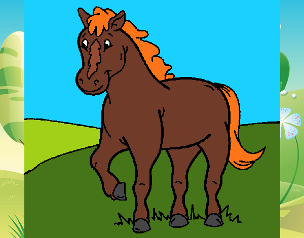 Caballo 4