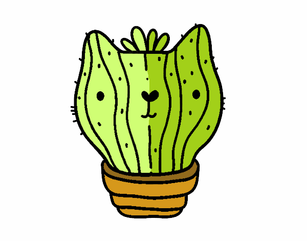 Cactus gato