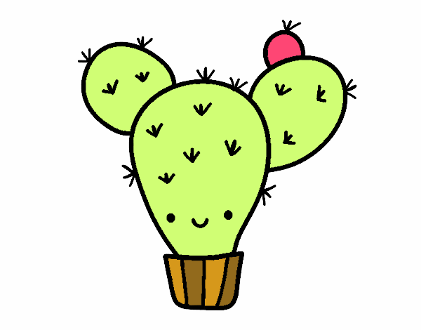 Cactus nopal