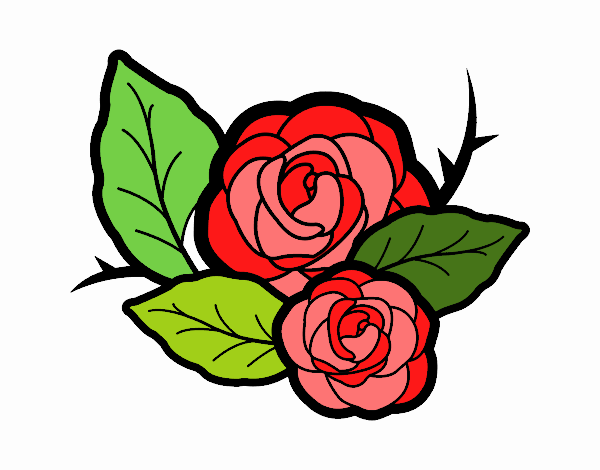 Dos rosas