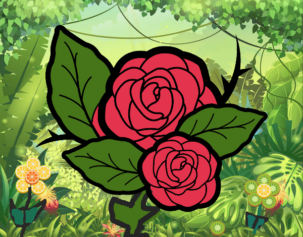 Dos rosas