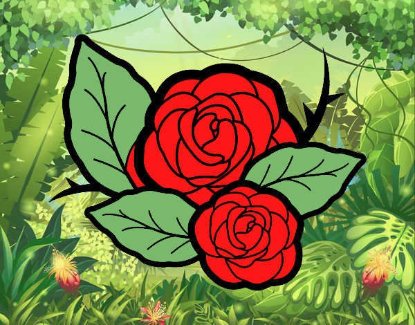 Dos rosas