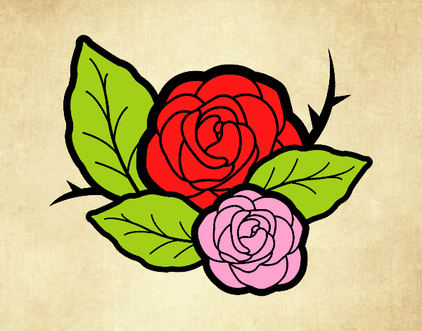 Dos rosas