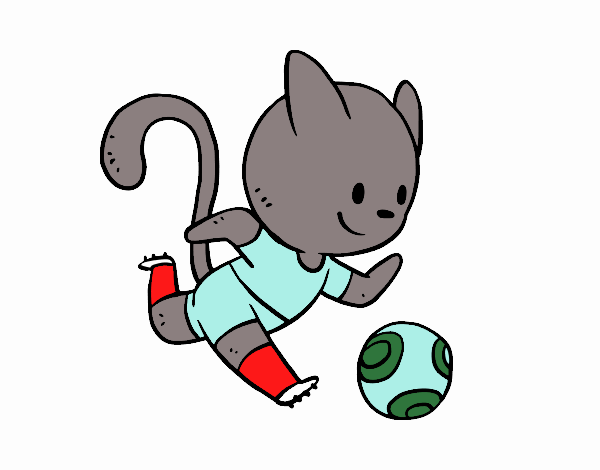 Gato jugando a fútbol