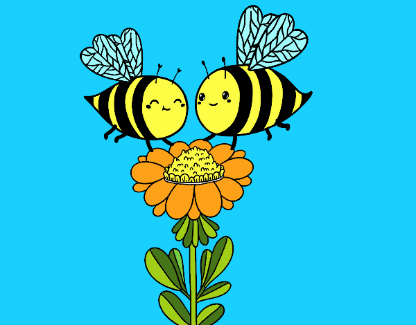 Pareja de abejas