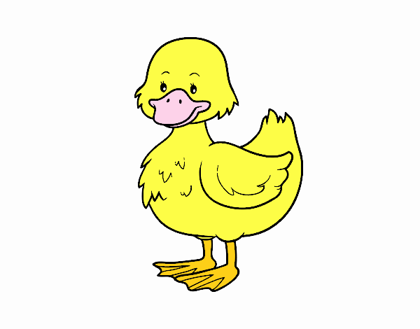 Patito de granja