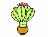 Un cactus con flor