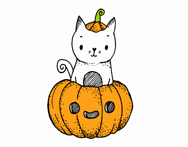 Un gatito de Halloween