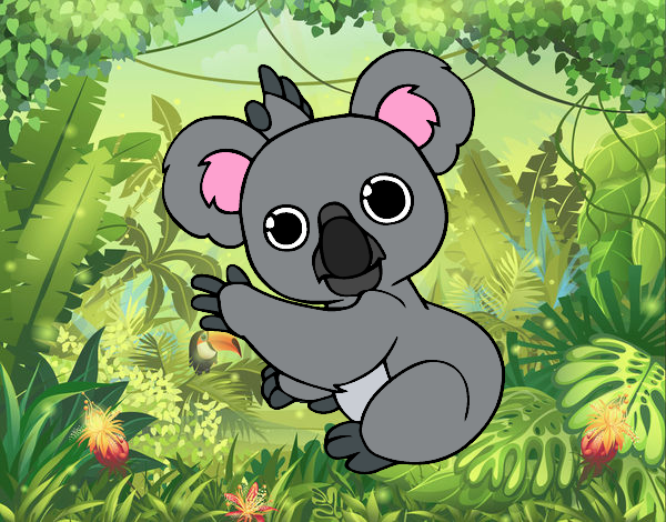 Un Koala