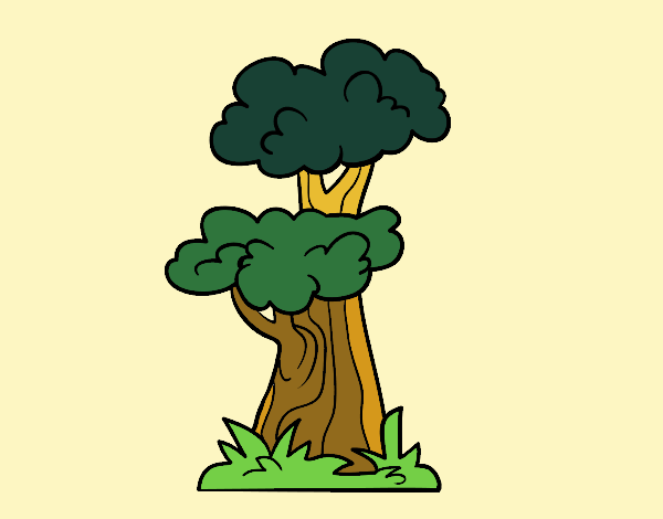 Árbol japonés