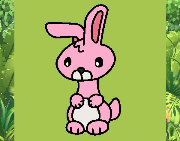 The Pink Buny