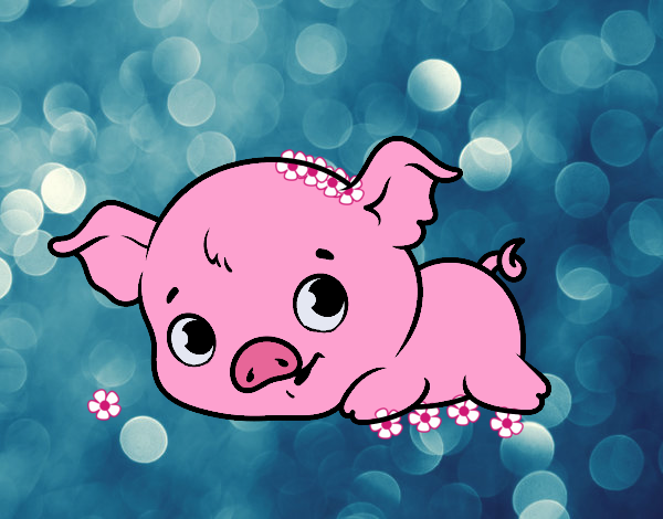 Kawaii Cerdito