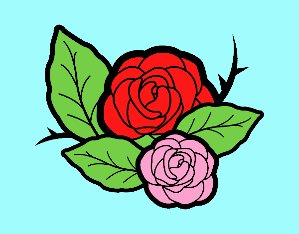 Dos rosas