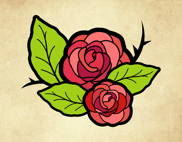 Dos rosas