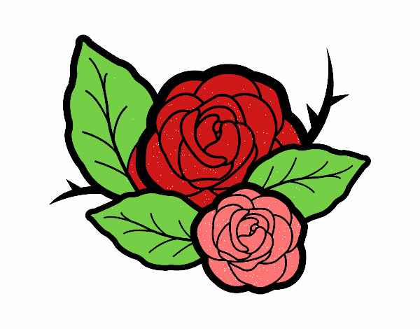 la rosa rosa 