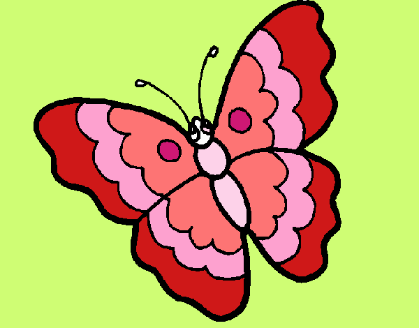 Mariposa 13