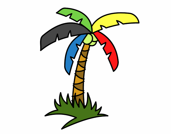 Palmera tropical