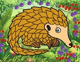 Pangolin