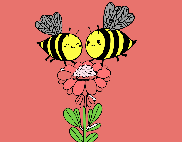 Pareja de abejas