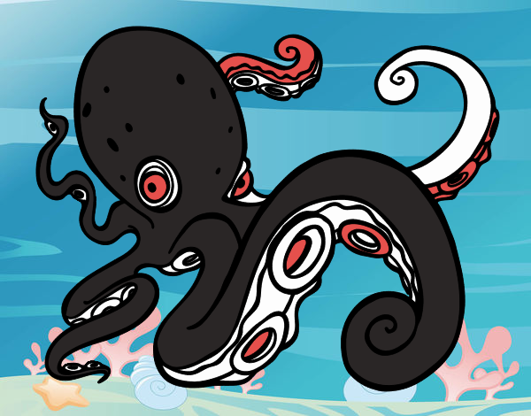 Pulpo Kraken