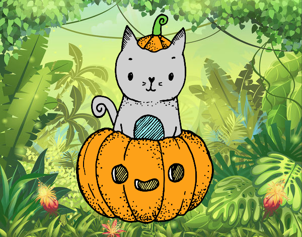 Un gatito de Halloween