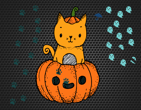 Un gatito de Halloween