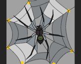 Araña