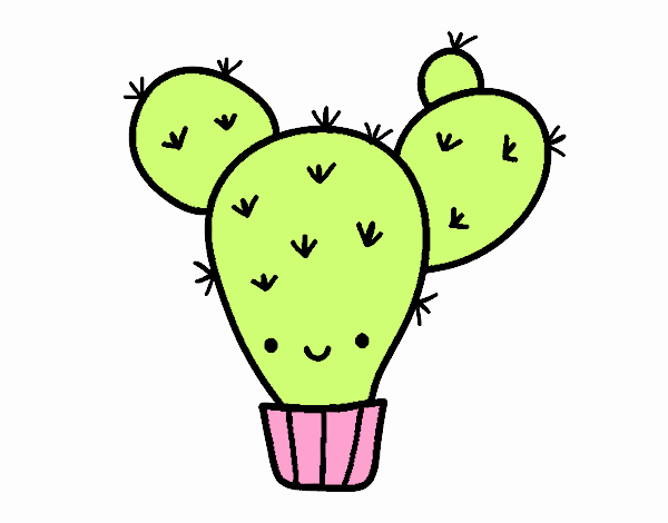 Cactus nopal