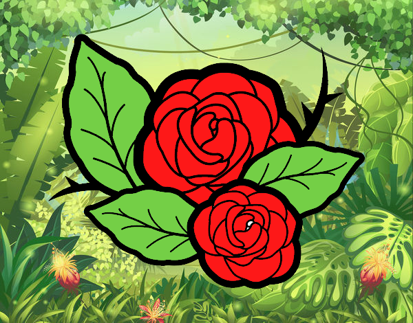 Dos rosas