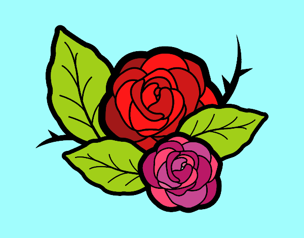 Dos rosas