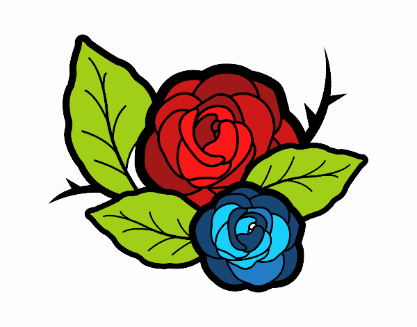 Dos rosas