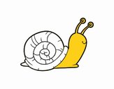 El caracol